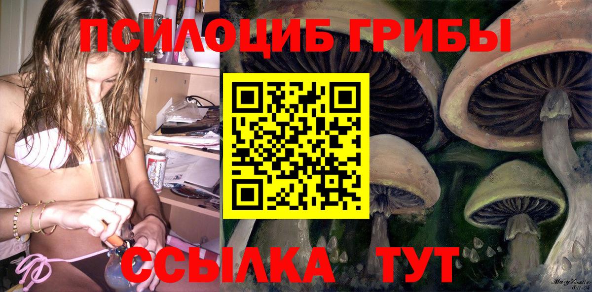 Псилоцибиновые грибы Magic Shrooms  Вход с VPN  Сосновый Бор 